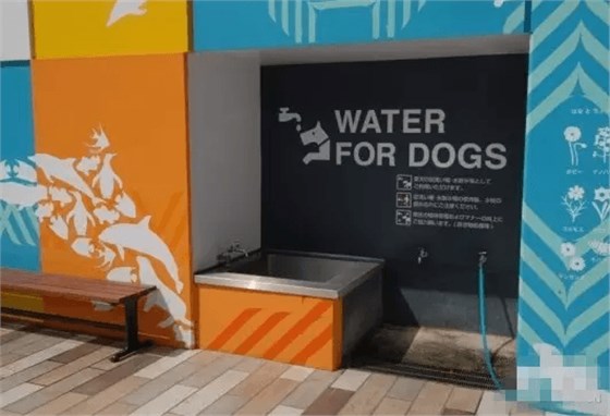 为了保持店铺清洁，设专门洗狗爪的池子