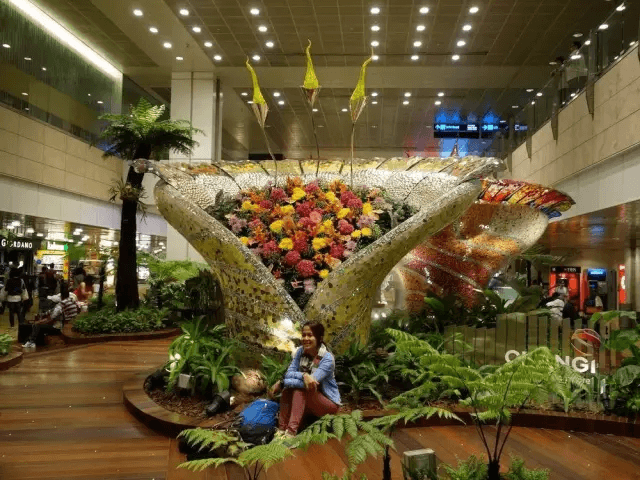 新加坡樟宜机场：主题花园、蝴蝶园等