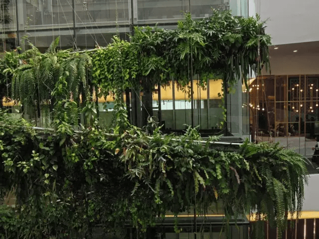 大型螺旋结构绿植装置艺术