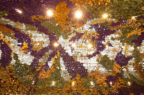 墨尔本伊斯特兰购物中心：15万朵干花打造“飘香”天幕